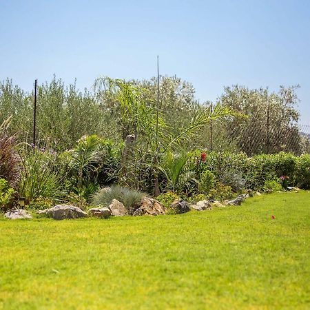 Villa Helios Kalathos Ngoại thất bức ảnh